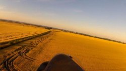 FPV glider sunset